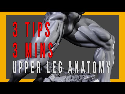 3 Tips/3 Mins New Zbrush Anatomy Tutorial
