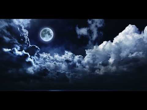 Dimitris Petsetakis - In the Dark - Reverseside