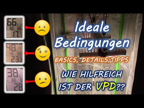 Temperatur und Luftfeuchtigkeit im Growzelt richtig einstellen | VPD als Hilfsmittel