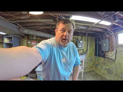 Prep for harvest of "sister" worm bins - vermicomposting