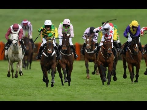 チェルトナムフェスティバルLIVE結果 (Cheltenham Festival LIVE results)
