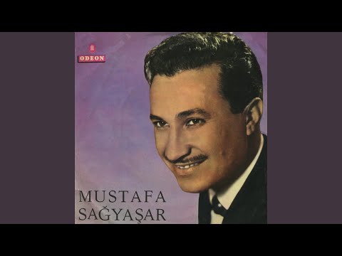 Seni Ben Ellerin Olsun Diye Mi Sevdim