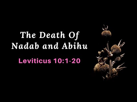 Leviticus 10:1-20 The Death Of Nadab And Abihu NIV female narration