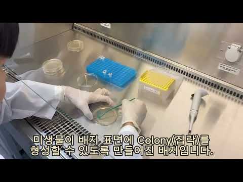 (Let's try) Plate spreading(도말하기)