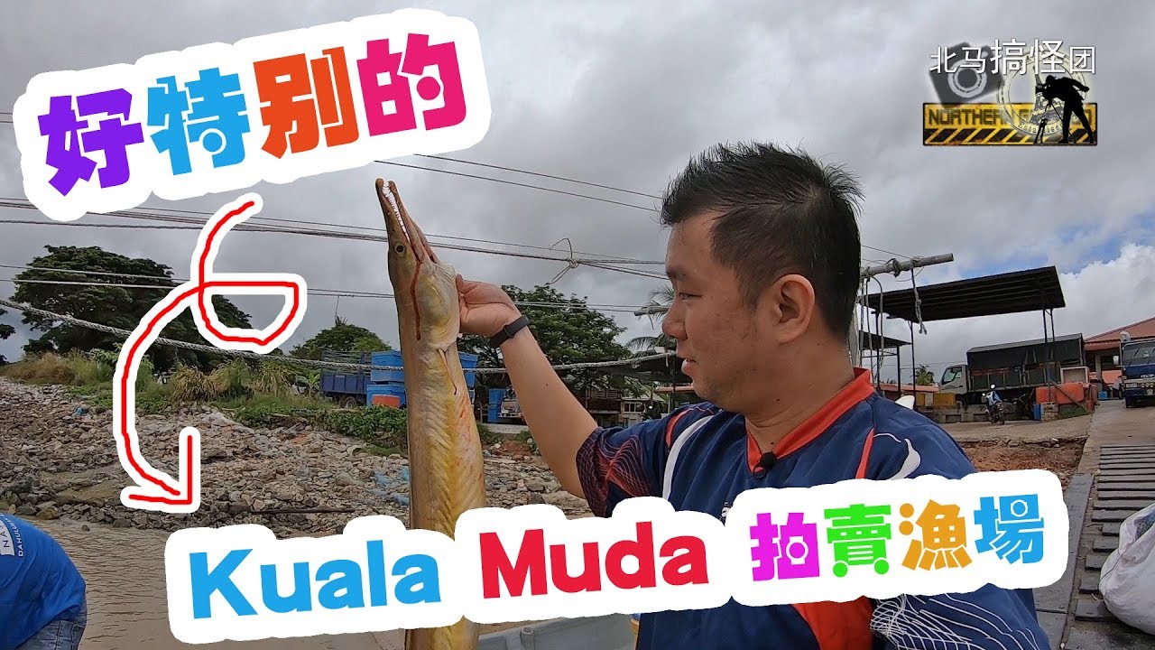 Pasar Bisik Kuala Muda  吉打拍卖渔场