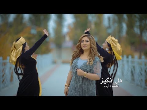 Dil Anghez - Hawara Official Video Music
