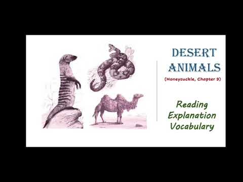 how do desert animals survive without water | EduRev Verbal Question