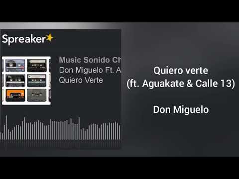 Quiero Verte - Calle Trece