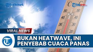 Dipastikan Bukan Heatwave, BMKG Ungkap Penyebab "Suhu Mendidih" di Indonesia Belakangan Ini