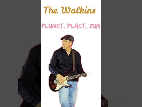 Plunct, Plact, Zum   The Walkins