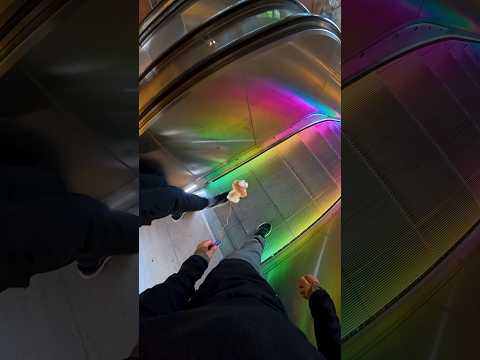 He yeeted my pet dog Adam 😡