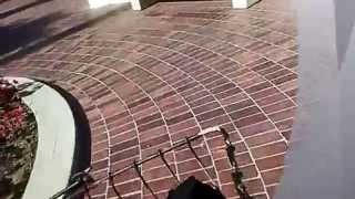 acid ride with ali bombay