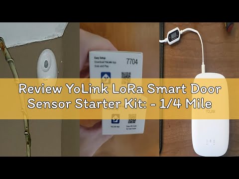 YoLink LoRa 1/4 Mile Wireless Range Smart Motion Detector, Indoor Motion Sensor, Motion Detector, Alexa, IFTTT, YoLink Hub Required video review thumbnail
