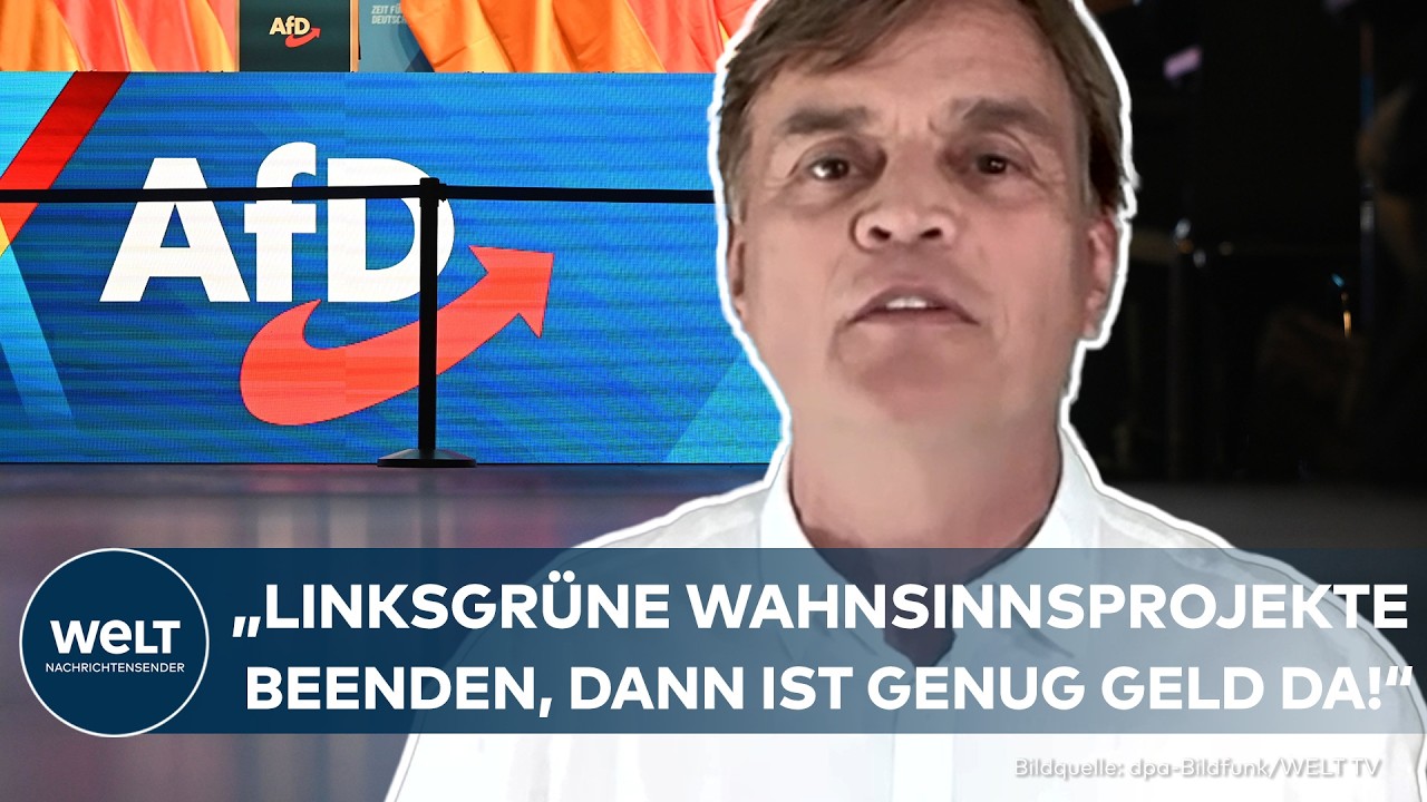 DEBATTE UM BRANDMAUER: Hat die AfD keine Lösungen? Bernd Baumann wehrt sich gegen Vorwürfe!