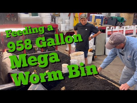 Feeding a 958 Gallon Worm Bin
