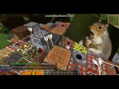 Dźwięki godowe Damiana XD - SCB & HNS