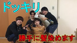 【ドッキリ】後輩をガムテープでぐるぐる巻きにして髪勝手に染めてみたwww