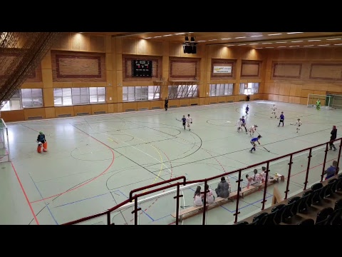 Austrijsko prvenstvo U12 Post SV - HK Zelina