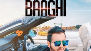 Baaghi by mavi Singh whats app status