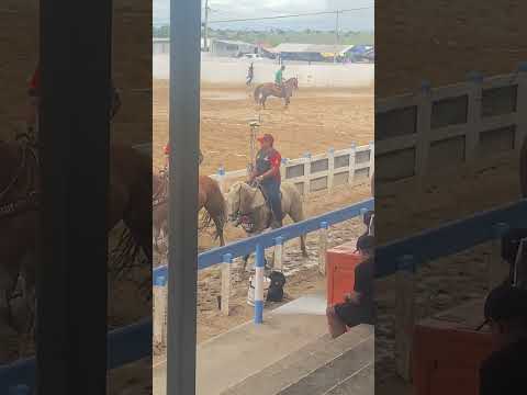 Vaquejada de Campo Grande-Alagoas parque Evanio Higino #fyp #fypシ #fypシ゚viral #viral #fy #vaquejada