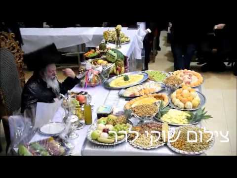 Tu Bishvat 5776 With Premishlan Rebbe