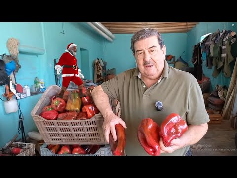 👣100 Años Produciendo 🌱 Albardon 🌵 visitamos la Familia Berrido 💖