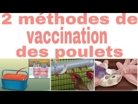 , title : 'Méthodes de vaccination des poulets'