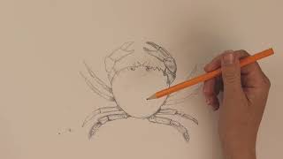 How to Add Detail to Your Drawings - Make & Take at Home