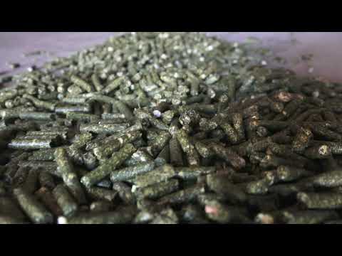 Agricon - What are the benefits of Pelletizing Animal Feeds