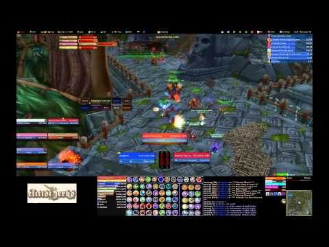 Zul'Aman Vs Elitist Jerks - Time run lvl 70 Amani Bear - TBC (HD013)