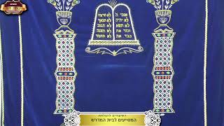 בית המדרש "תורת דוד" ¤ תיקון שובבי"ם ותענית דיבור ¤ כ"ה שבט תשפ"ו (12.2.2025) (מוסדות תורת דוד) - התמונה מוצגת ישירות מתוך אתר האינטרנט יוטיוב. זכויות היוצרים בתמונה שייכות ליוצרה. קישור קרדיט למקור התוכן נמצא בתוך דף הסרטון