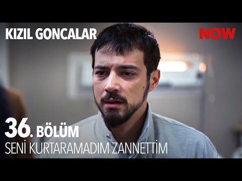 Cüneyt İçin En Zor An! - Kızıl Goncalar 36. Bölüm @KizilGoncalarDizisi
