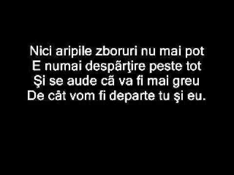 Andra-Maria Mãciucã - Spune-mi ceva... (cover Tatiana Stepa)