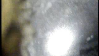 SANTA MARIA DE LA CABEZA 66A SHUNT 2