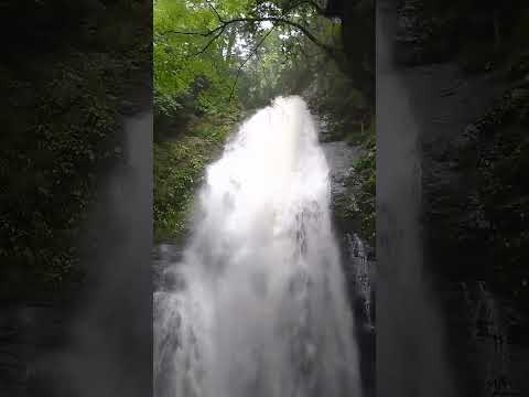 Seirei Falls Sacred Portal