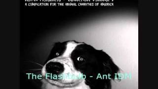 The Flashbulb - Ant IDM