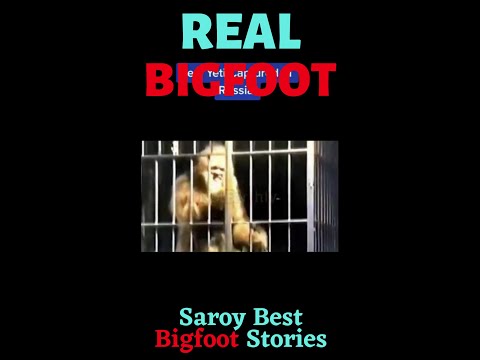 Captured Bigfoot In Cage(Prt2)!!! Is this Real???😨😨 #Bigfoots testimony