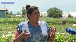 Եկեք հասկանանք. Վնասներ քամուց