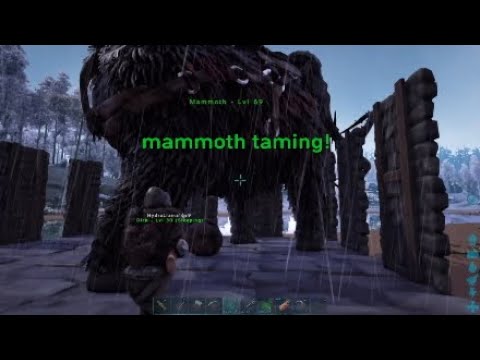 Taming a mammoth (Ark survival evolved)