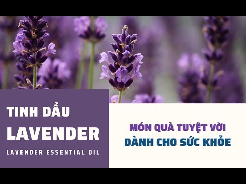 , title : 'Tinh dầu Lavender Essenbee - Tinh dầu thiên nhiên, an toàn khi sử dụng'