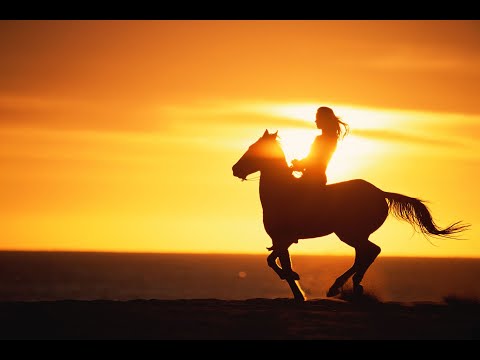Video $Horse Camp: A Treasure Tail