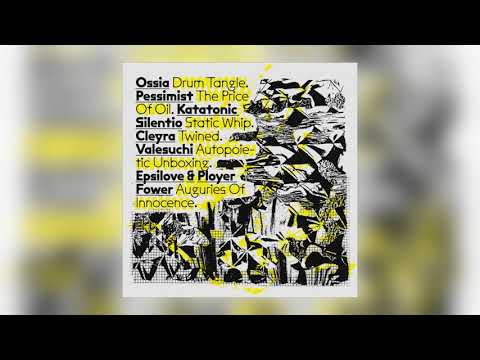 Valesuchi - Autopoietic Unboxing [Audio]