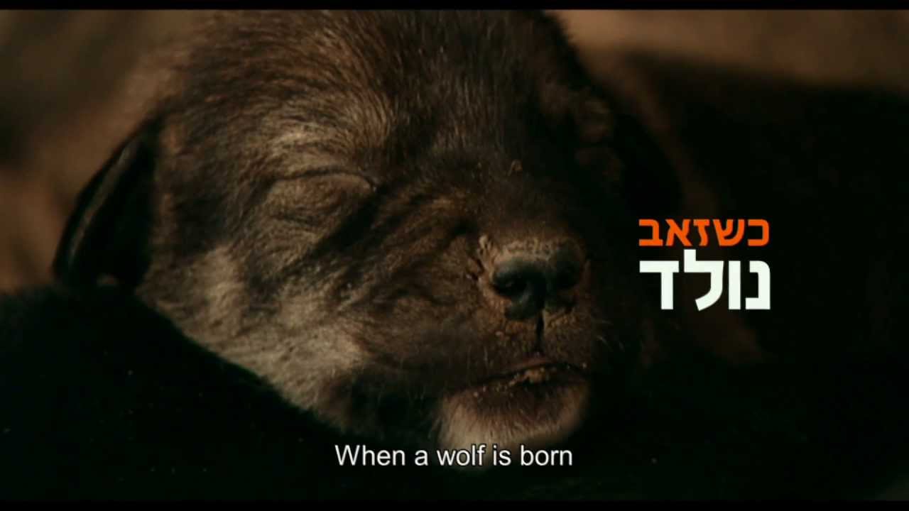 יללת הזאבים - טריילר נוסף -  A Tale of a wolf - Trailer