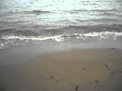 THE BEACH IN SHEDIAC !