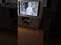 Leave It To Beaver Theme Song On Me Tv
