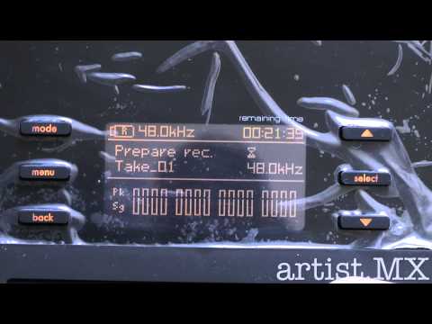 LR•16 Live Recorder - Demo artist.mx