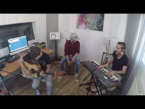 Zayn - Pillowtalk Cover (Cristi Nistor)