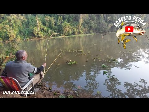 PESCARIA DE CAMPINEIRO É DE INVERGA  O BAMBU