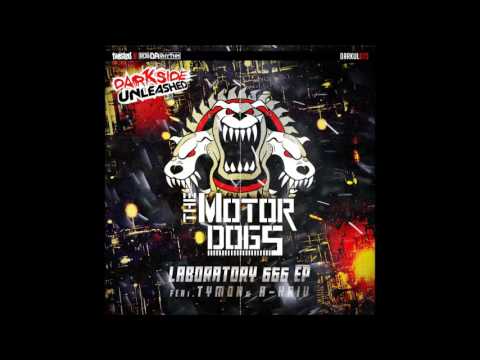 The Motordogs & Tymon - TMB