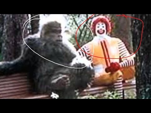 BIGFOOT ESISTE VERAMENTE! - Finding Big Foot Funny Moments ITA